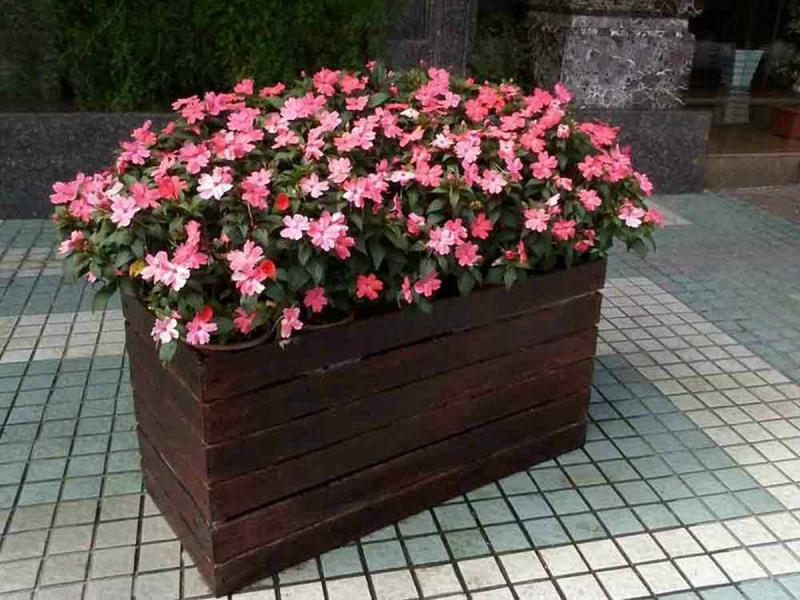 防腐木花箱欣赏二七541 帖子ID:2439-木图网-木结构之家 www.woodpic.cn