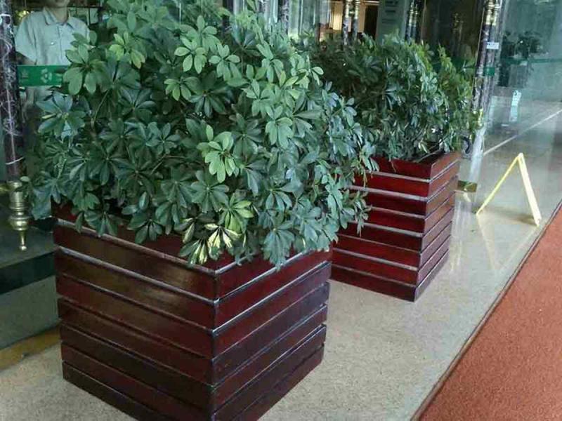 防腐木花箱欣赏二七2898 帖子ID:2439-木图网-木结构之家 www.woodpic.cn