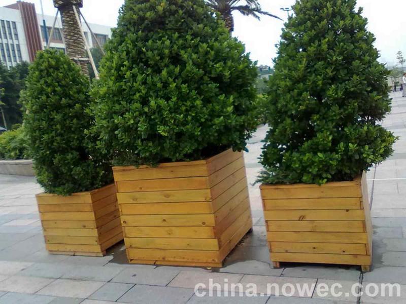 防腐木花箱欣赏二七7179 帖子ID:2439-木图网-木结构之家 www.woodpic.cn