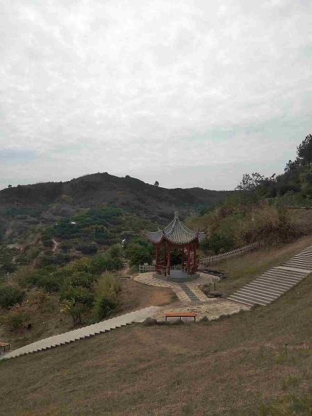 江西南丰县观必上乐园仿古景观亭571 帖子ID:2969-木图网-木结构之家 www.woodpic.cn