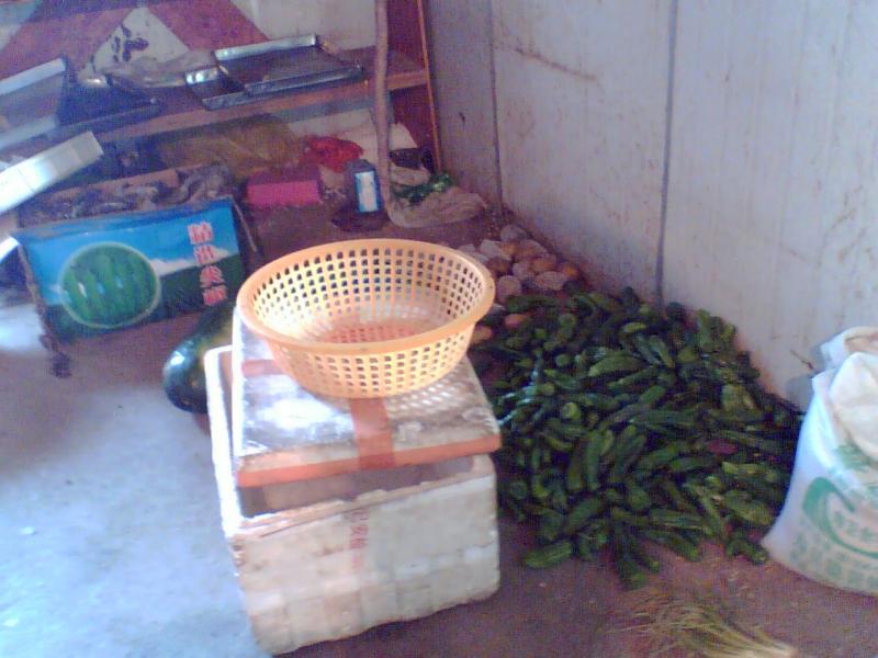 实践是检验真理的最好方法...5235 帖子ID:1164-木图网-木结构之家 www.woodpic.cn