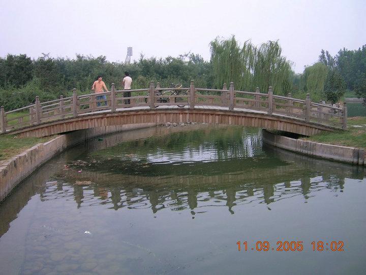 木桥欣赏二零二五十一6221 帖子ID:1225-木图网-木结构之家 www.woodpic.cn