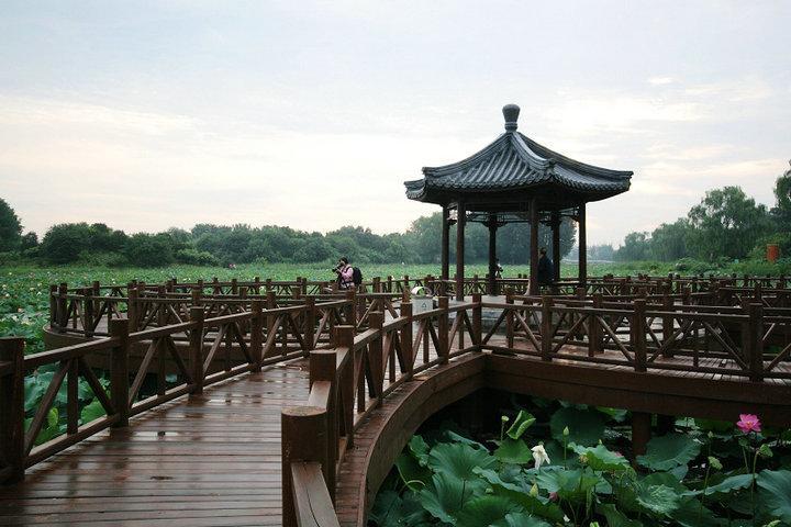 木桥欣赏二零二五十二4559 帖子ID:1226-木图网-木结构之家 www.woodpic.cn