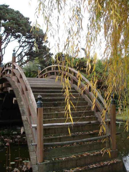 木桥欣赏二零二五十八8069 帖子ID:1232-木图网-木结构之家 www.woodpic.cn