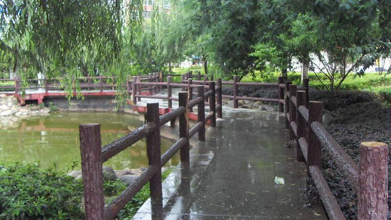 木桥欣赏二零二五三八7562 帖子ID:1252-木图网-木结构之家 www.woodpic.cn