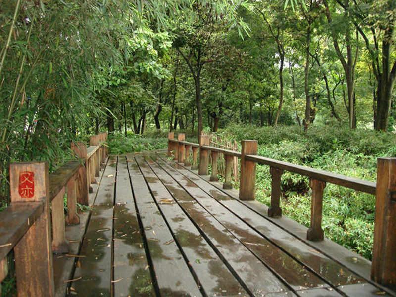 木桥欣赏二零二五三四5221 帖子ID:1248-木图网-木结构之家 www.woodpic.cn
