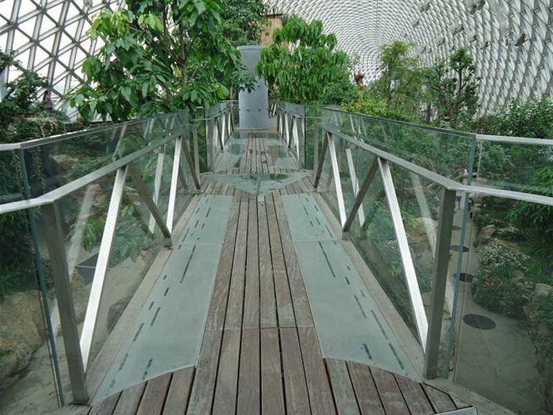 木桥欣赏二零二五三六7870 帖子ID:1250-木图网-木结构之家 www.woodpic.cn