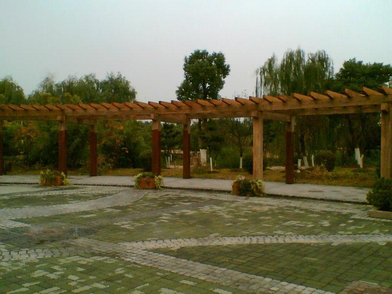 木花架欣赏二零零五十七7017 帖子ID:1276-木图网-木结构之家 www.woodpic.cn
