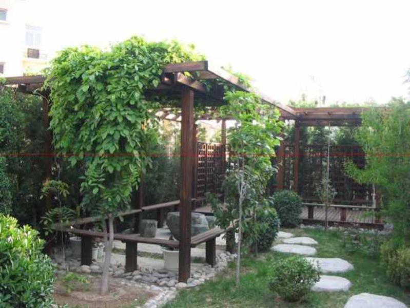 木花架欣赏二零零五二七6979 帖子ID:1286-木图网-木结构之家 www.woodpic.cn