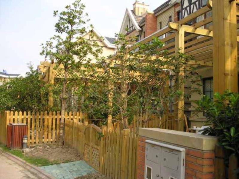木花架欣赏二零零五五六7829 帖子ID:1315-木图网-木结构之家 www.woodpic.cn