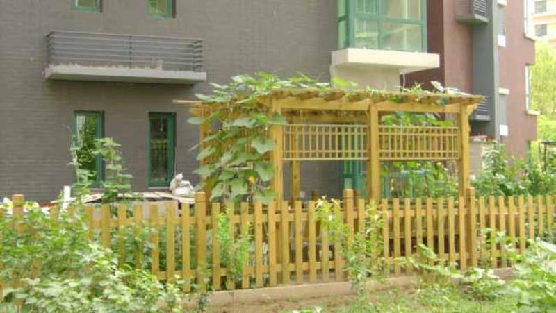 木花架欣赏二零零五五八1135 帖子ID:1317-木图网-木结构之家 www.woodpic.cn