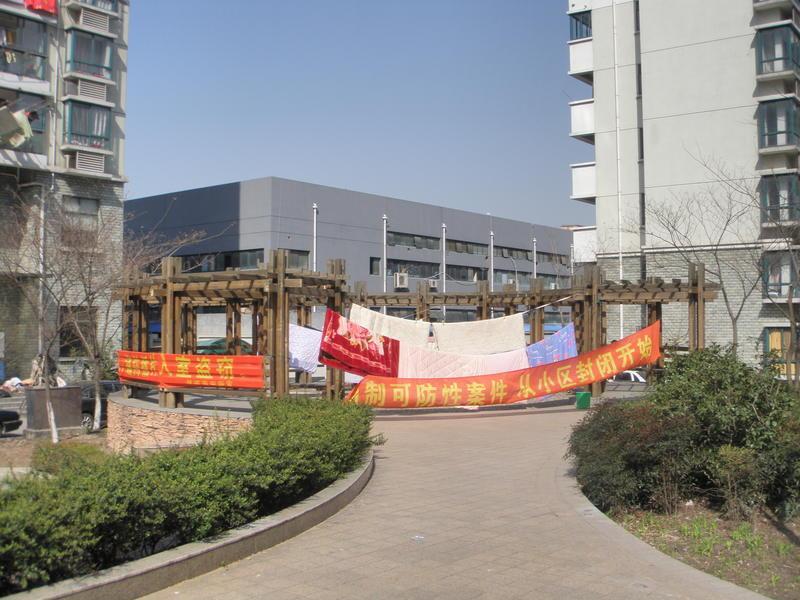 木花架欣赏二零零五五九2286 帖子ID:1318-木图网-木结构之家 www.woodpic.cn