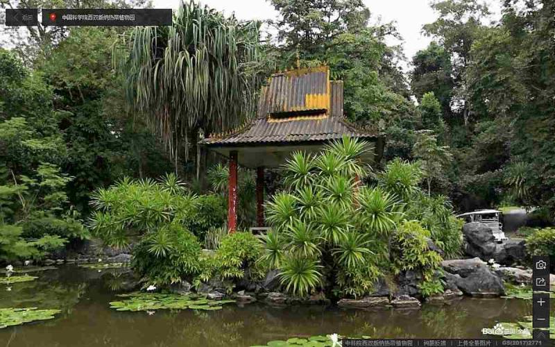 云南省中科院西双版纳热带植物园傣族木凉亭7788 帖子ID:1621-木图网-木结构之家 www.woodpic.cn