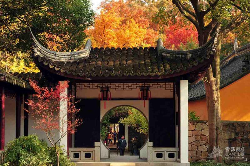 古建凉亭欣赏二六6353 帖子ID:1692-木图网-木结构之家 www.woodpic.cn