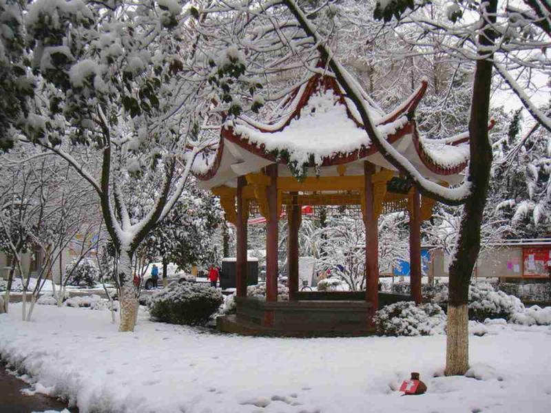古建凉亭欣赏二九5958 帖子ID:1695-木图网-木结构之家 www.woodpic.cn