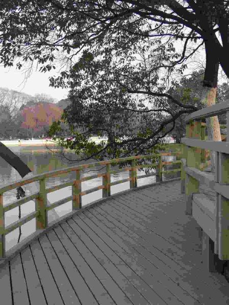 防腐木栏杆欣赏八8624 帖子ID:1721-木图网-木结构之家 www.woodpic.cn