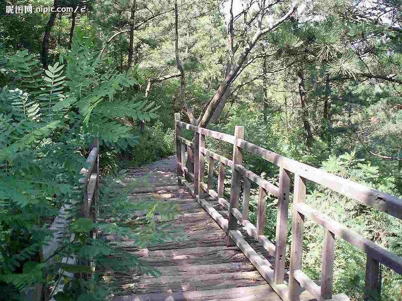 防腐木栏杆欣赏三十8658 帖子ID:1734-木图网-木结构之家 www.woodpic.cn