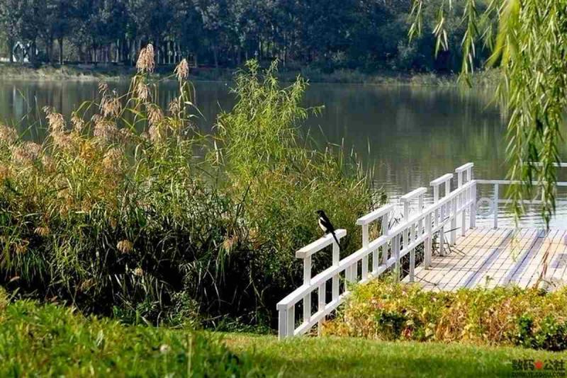防腐木栏杆欣赏二十五553 帖子ID:1738-木图网-木结构之家 www.woodpic.cn