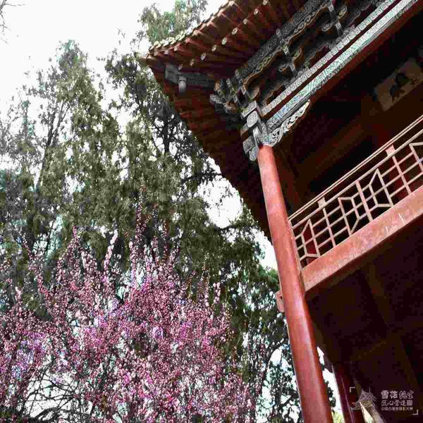 古建筑欣赏二十五25 帖子ID:1833-木图网-木结构之家 www.woodpic.cn