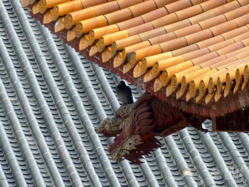 古建筑欣赏十七3445 帖子ID:1825-木图网-木结构之家 www.woodpic.cn