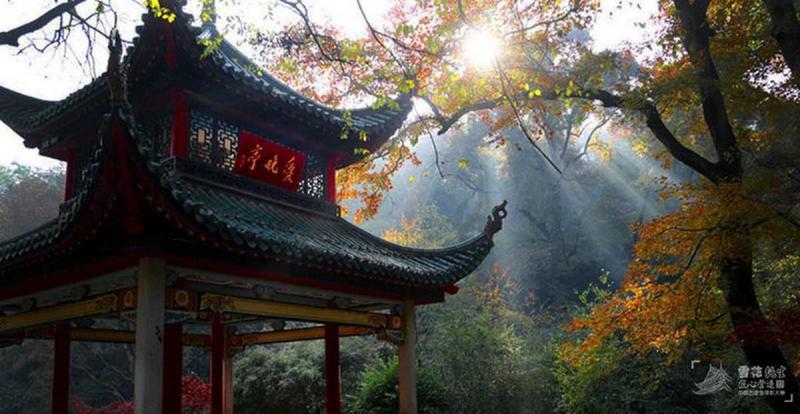 古建筑欣赏二十八2514 帖子ID:1836-木图网-木结构之家 www.woodpic.cn